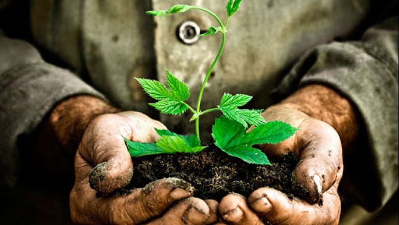 5 de Junio Día Mundial del Ambiente