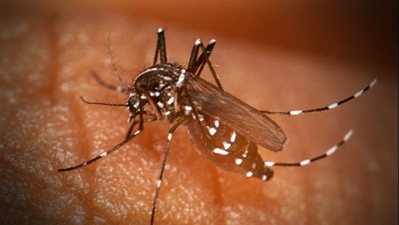 Los tres casos de dengue en Varela no son autóctonos