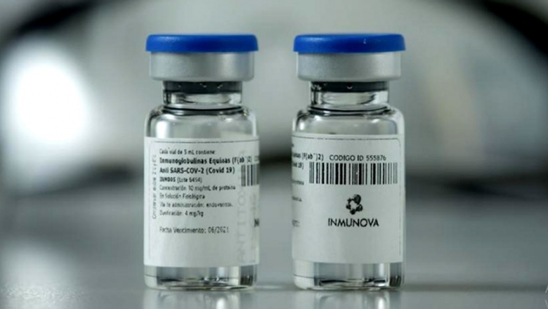 Presentan en la ANMAT el estudio de suero equino capaz de neutralizar el coronavirus