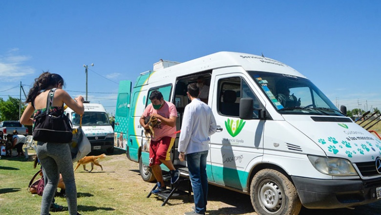 Castración y vacunación gratuita de mascotas en barrio Libertad