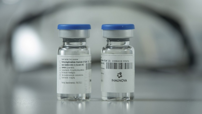 El suero equino varelense comienza a aplicarse en pacientes de Covid-19