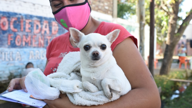 Móvil veterinario municipal: castración gratuita de mascotas en el barrio Libertad