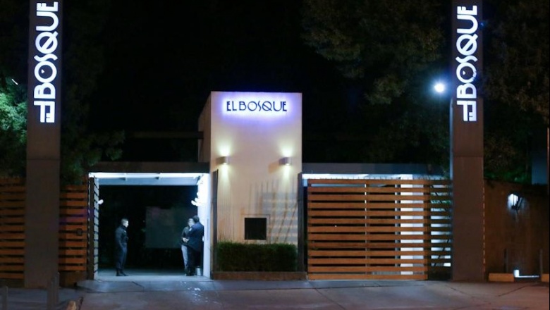 ¿Vuelve El Bosque?