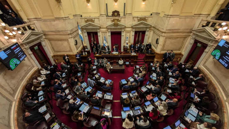 El Senado rechazó el veto de Milei: es ley la Emergencia en Discapacidad en todo el pais