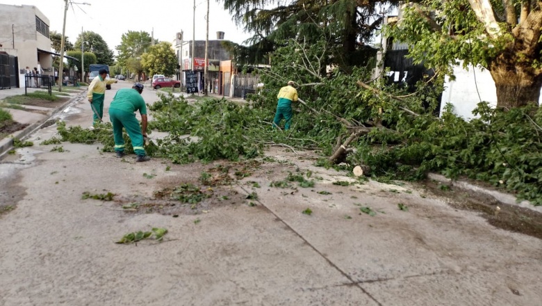 Municipio requirió a Edesur restablecer el servicio de energía eléctrica tras el temporal