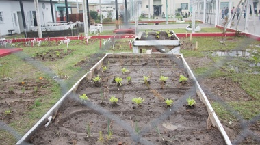 Internos de de la Unidad Penitenciaria N°54 desarrollaron el Programa Huertas
