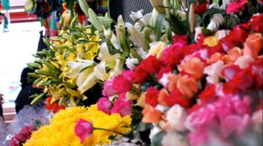 Jornada de promoción florícola