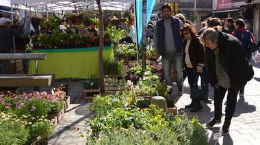 Feria de frutas, verduras y flores en la estación Varela