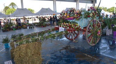 Se viene la Fiesta de la Flor en Varela