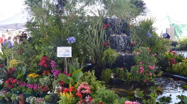 ¿Qué es la Fiesta de la Flor en Florencio Varela?