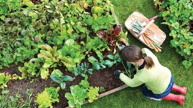 Taller de huerta orgánica
