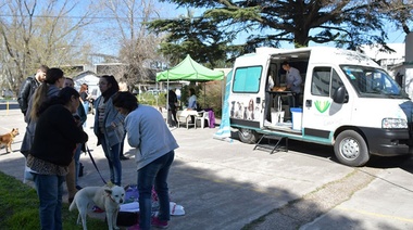 El Móvil Veterinario municipal en la UNAJ hasta el viernes
