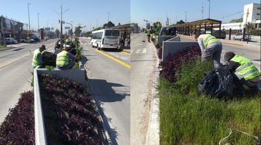 Limpieza y mantenimiento en Metrobús por Av. Calchaquí y por Av. San Martín