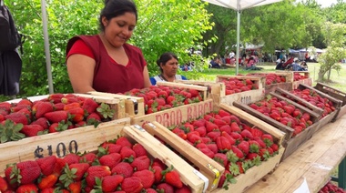 Exitosa Fiesta de la Frutilla y con gran convocatoria en el Museo Hudson