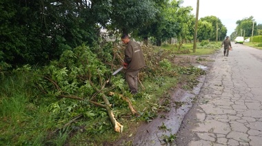 Accionar inmediato del Municipio luego del temporal