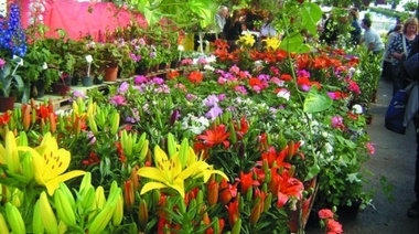 Jornada de promoción florícola: aromas y colores para regalar