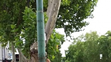 El municipio retiró carteles en infracción de la vía pública