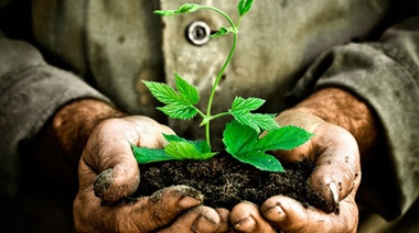 5 de Junio Día Mundial del Ambiente