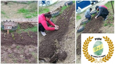 Hinchas de Defensa crean huertas para merenderos de Varela