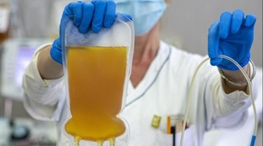 Coronavirus: la Campaña Nacional para la donación de plasma tiene media sanción