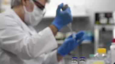 Coronavirus: aprobaron un crédito de 30 millones de pesos para el suero de caballos producido en Varela