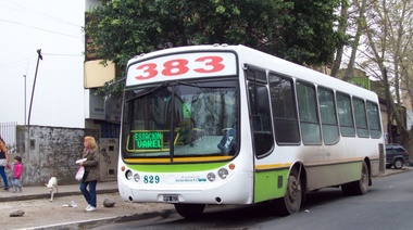 Watson pidió mejorar el servicio nocturno de la línea 383