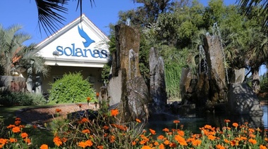 ¿Defensa y Justicia se muda a Punta del Este?