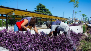 Cruce Varela: limpieza y mantenimiento 