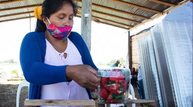 Impulso a productores locales