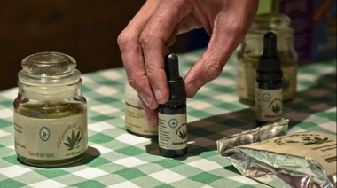 Es legal el autocultivo de cannabis para uso medicinal y su venta en farmacias