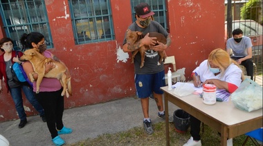 Castración gratuita de mascotas en Villa Arias