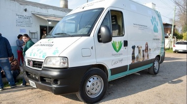 Castración gratuita de mascotas, en barrio Infico