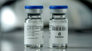 Presentan en la ANMAT el estudio de suero equino capaz de neutralizar el coronavirus