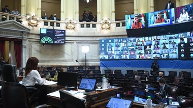 El Aporte Solidario y Extraordinario de las grandes fortunas fue convertido en Ley