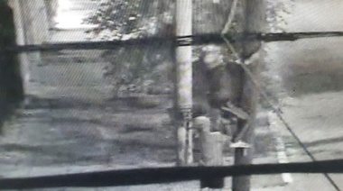 Cámaras de vía pública permiten detener a dos ladrones de cableado