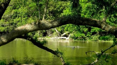 El Parque Pereyra, en riesgo de perder el status de reserva de biosfera