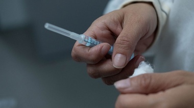 La Argentina trabaja en el diseño de una vacuna contra el coronavirus