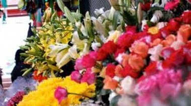 Actividades para toda la familia: ¡Fin de semana en Varela!