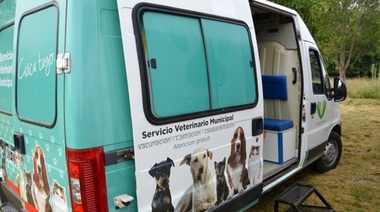 Móvil veterinario: castraciones gratuitas de mascotas en Villa Hudson