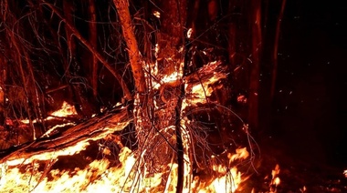 El Parque Pereyra sufrió un incendio intencional