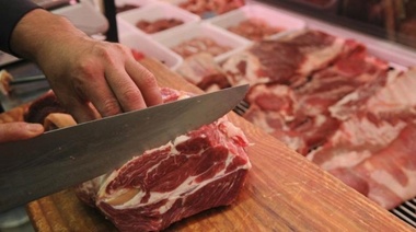 ¿Cuántos kilos de carne por mes se pueden comprar con un sueldo en Argentina?