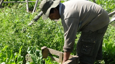 Jornada de formalización para productores agropecuarios
