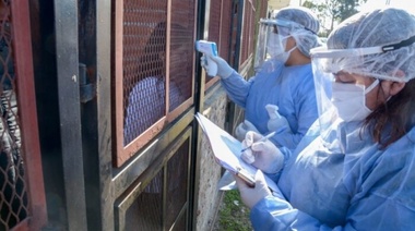 Plan Detectar de Covid-19 en barrios de Varela