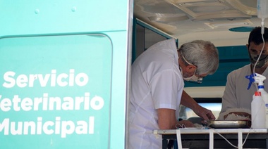 Esta semana el móvil del servicio veterinario municipal estará en Valentín Gómez 325