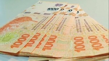 Impuesto a las grandes fortunas: la AFIP ya recaudó 223 millones de pesos