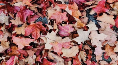 El otoño se hace sentir con bajas temperaturas