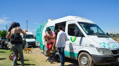 Castración y vacunación gratuita de mascotas en barrio Libertad