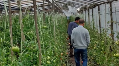 Villa San Luis: Asesoramiento a productores rurales y vacunación