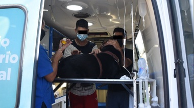 Esta semana el tráiler para atención a mascotas estará en San Rudecindo