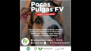 "Pocas Pulgas FV": el programa de las mascotas, en Radio Municipal